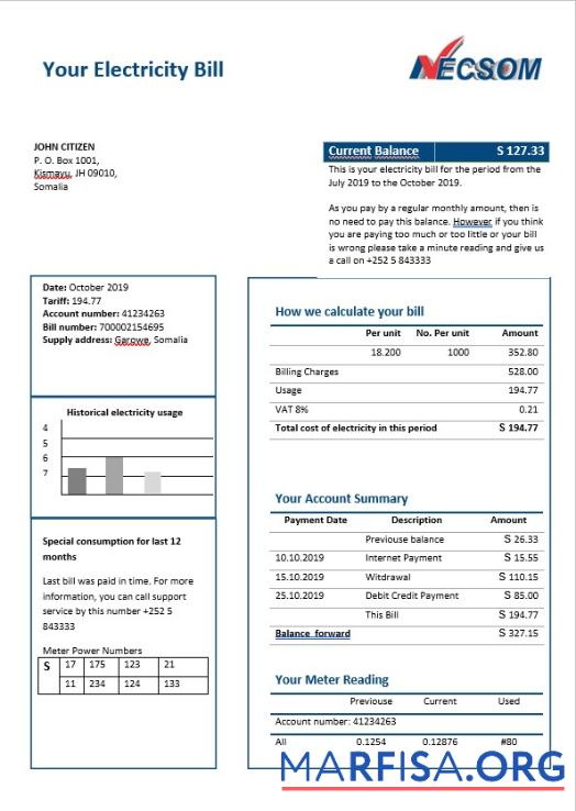 Realistic Somalia NESCOM electricity bill in Word format example